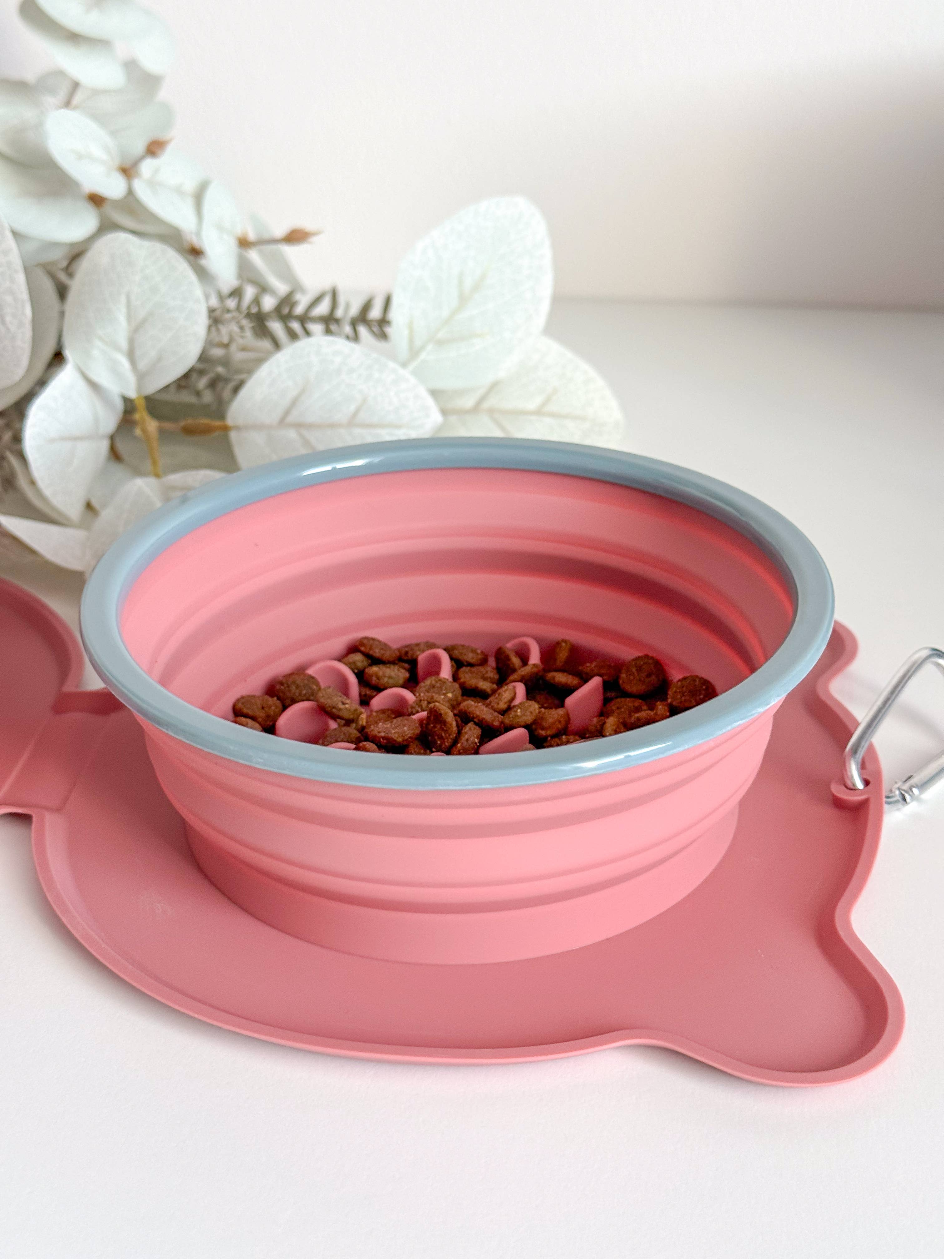 Gamelle de voyage pliable, pour chiens et chats