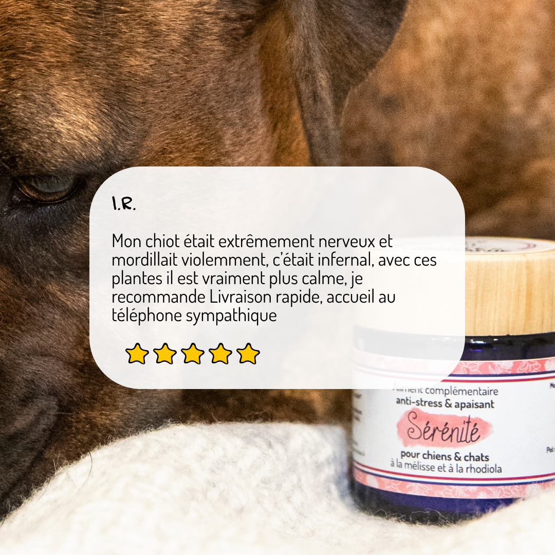 Antistress & Apaisant – Cure courte – Complément alimentaire