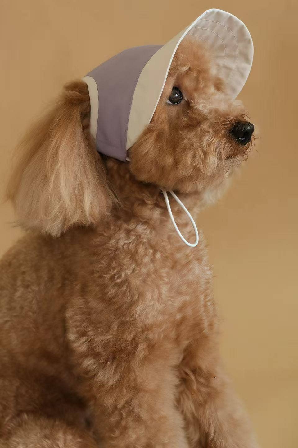 Chapeau pour chien Moonrise – Chalk Purple | Protection UV & pluie