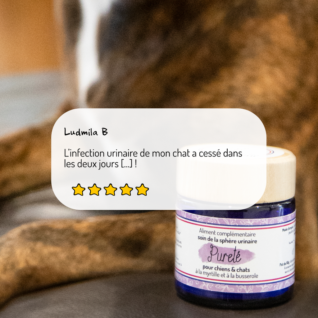 Sphère urinaire – Cure courte – Complément alimentaire