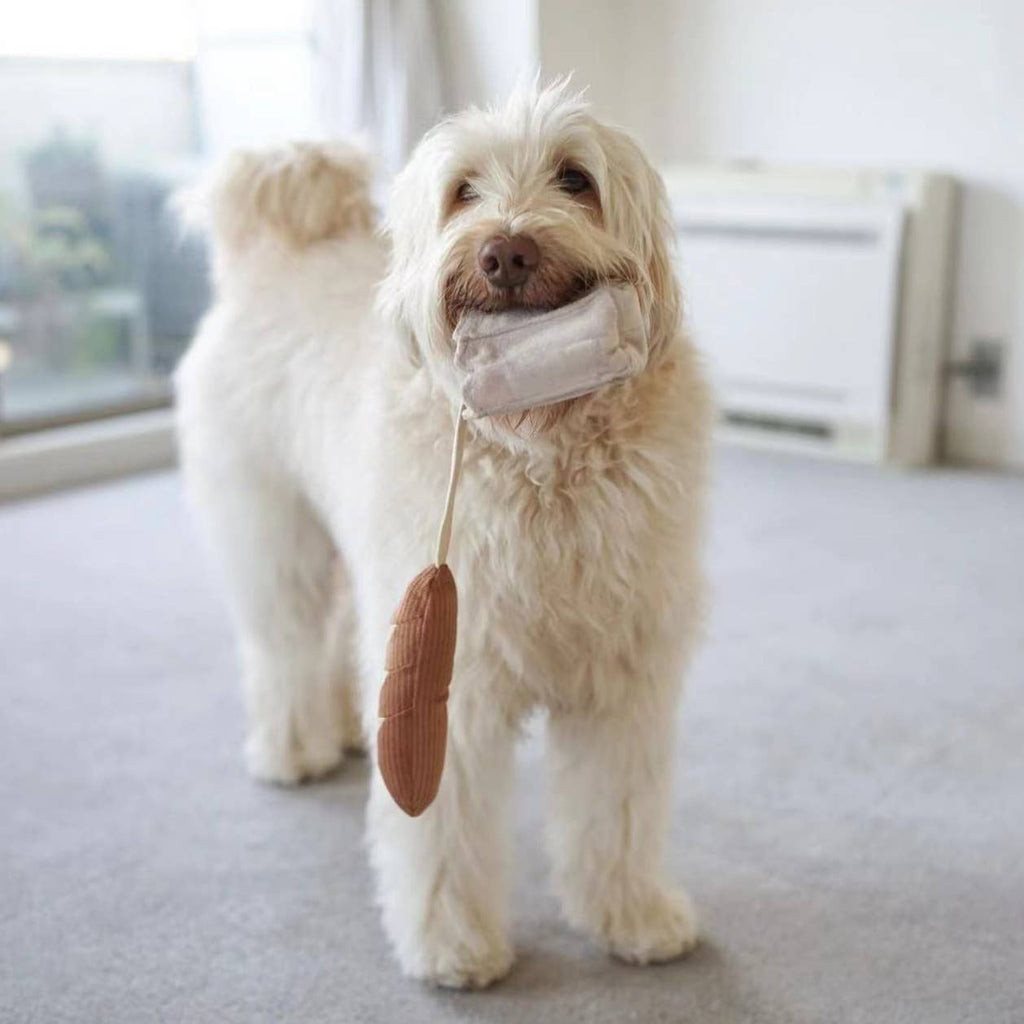 Jouet pour chien MINI-BAGUETTE