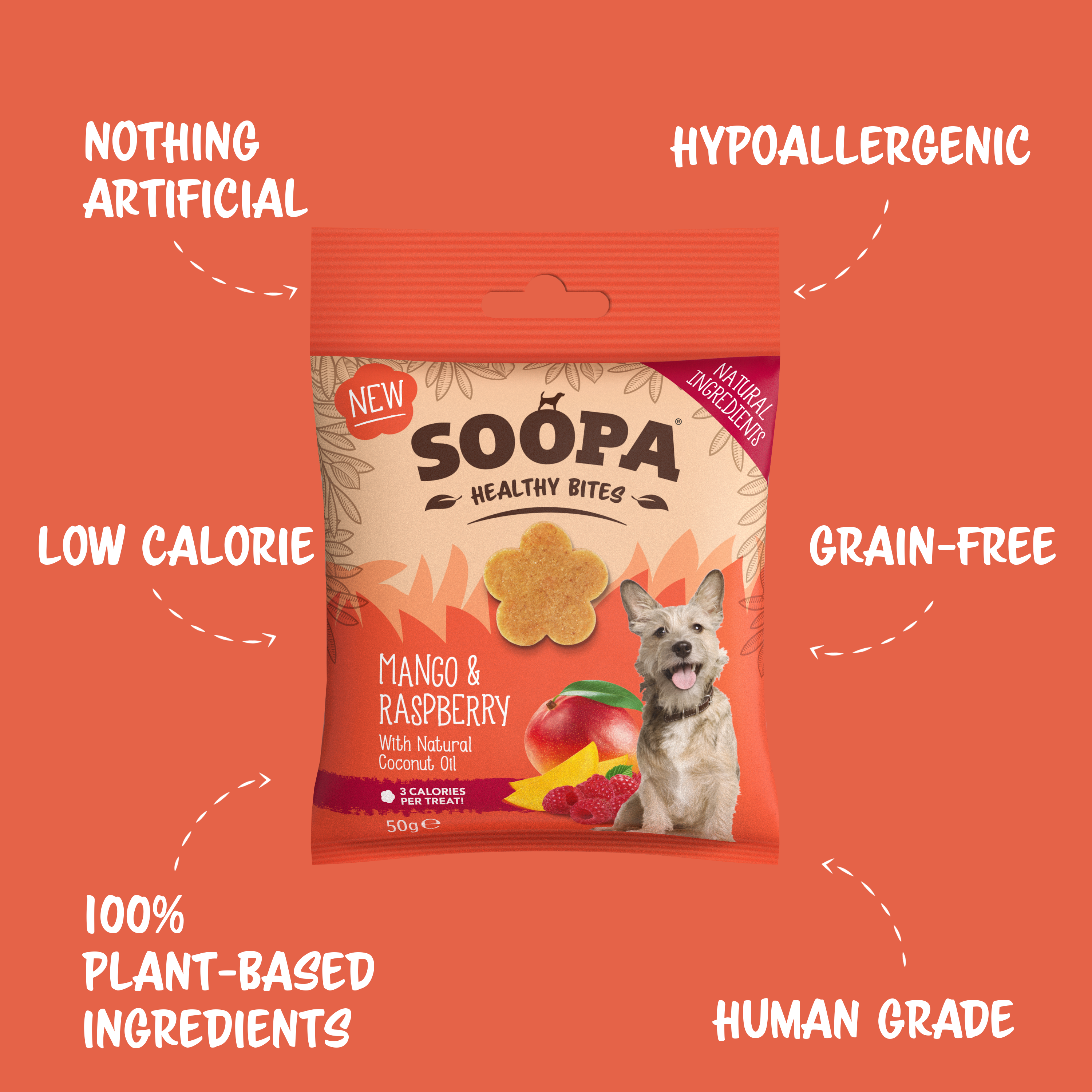 Friandises pour chiens à la mangue et à la framboise