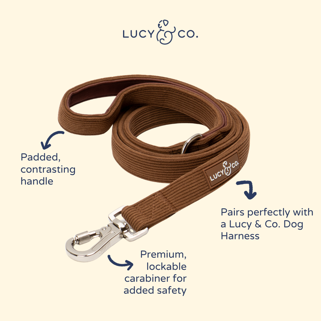 Laisse Chocolate Meadows – Lucy & Co - Automne