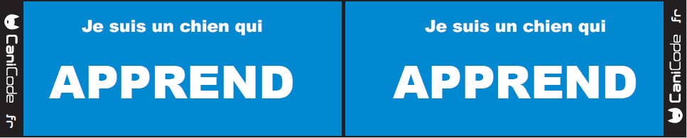 Scratch recto/verso CaniCode® J'APPRENDS