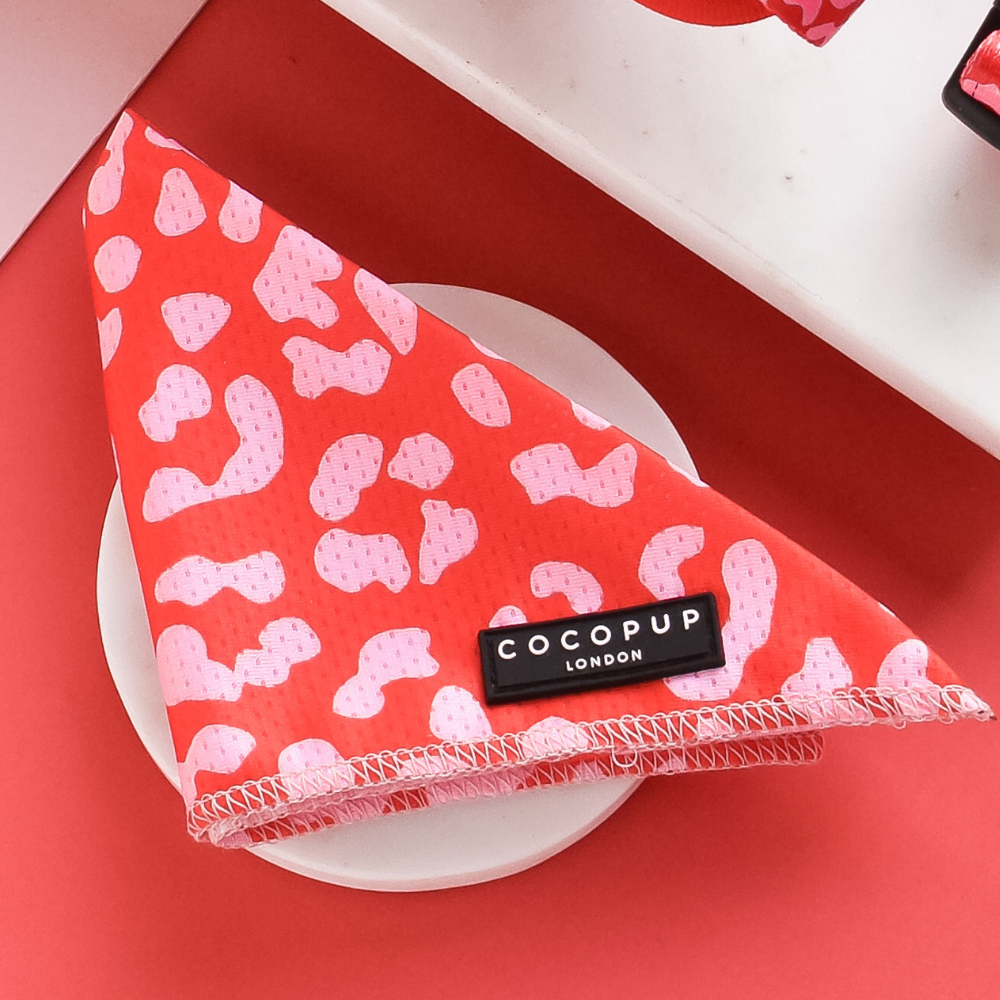 Foulard Red & Pink Leopard – Cocopup London
