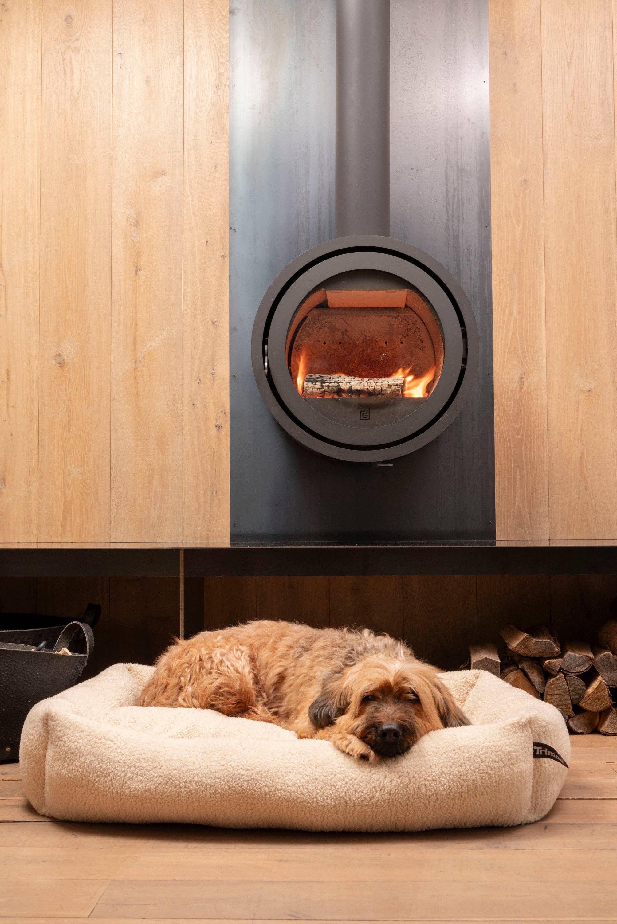 Lit pour chien Teddy écru