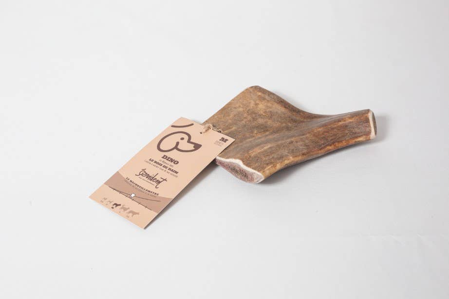 DINO - Bois de daim à mâcher pour chien