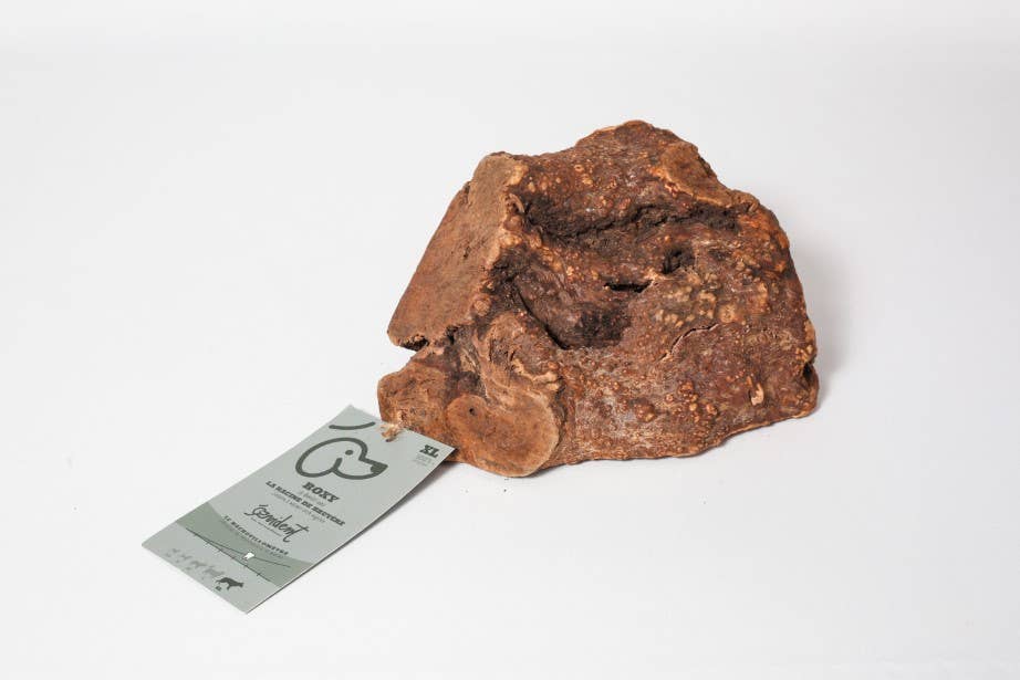 ROXY - Racine de bruyère à mâcher pour chien