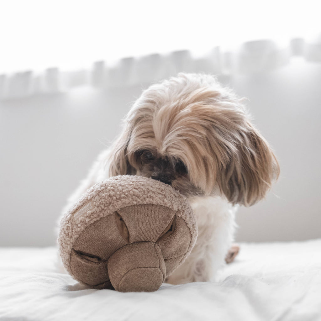 Jouet pour chien et chat CHAMPIGNON - Fouille
