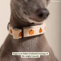 Collier Oh My Courge – Lucy & Co - Automne