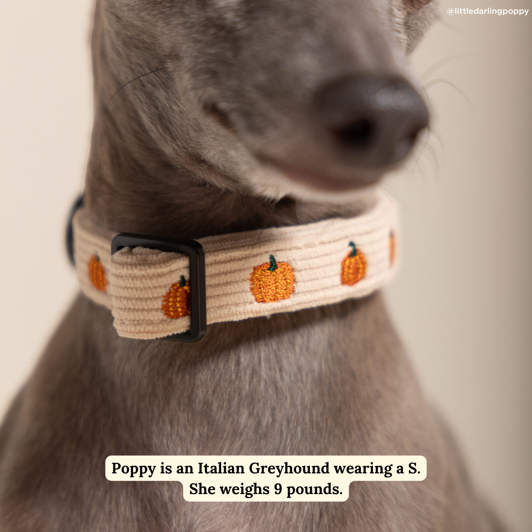 Collier Oh My Courge – Lucy & Co - Automne