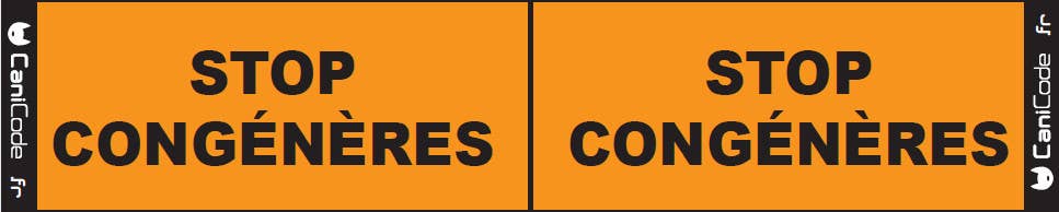 Scratch recto/verso CaniCode® STOP CONGÉNÈRES