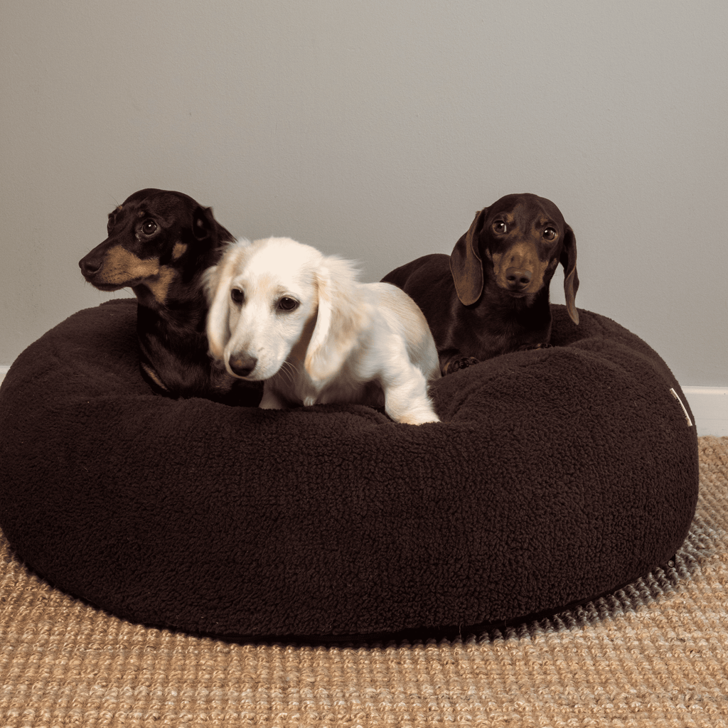 Pouf pour Chien & Chat Teddy Chocolat – Couchage Rond & Moelleux