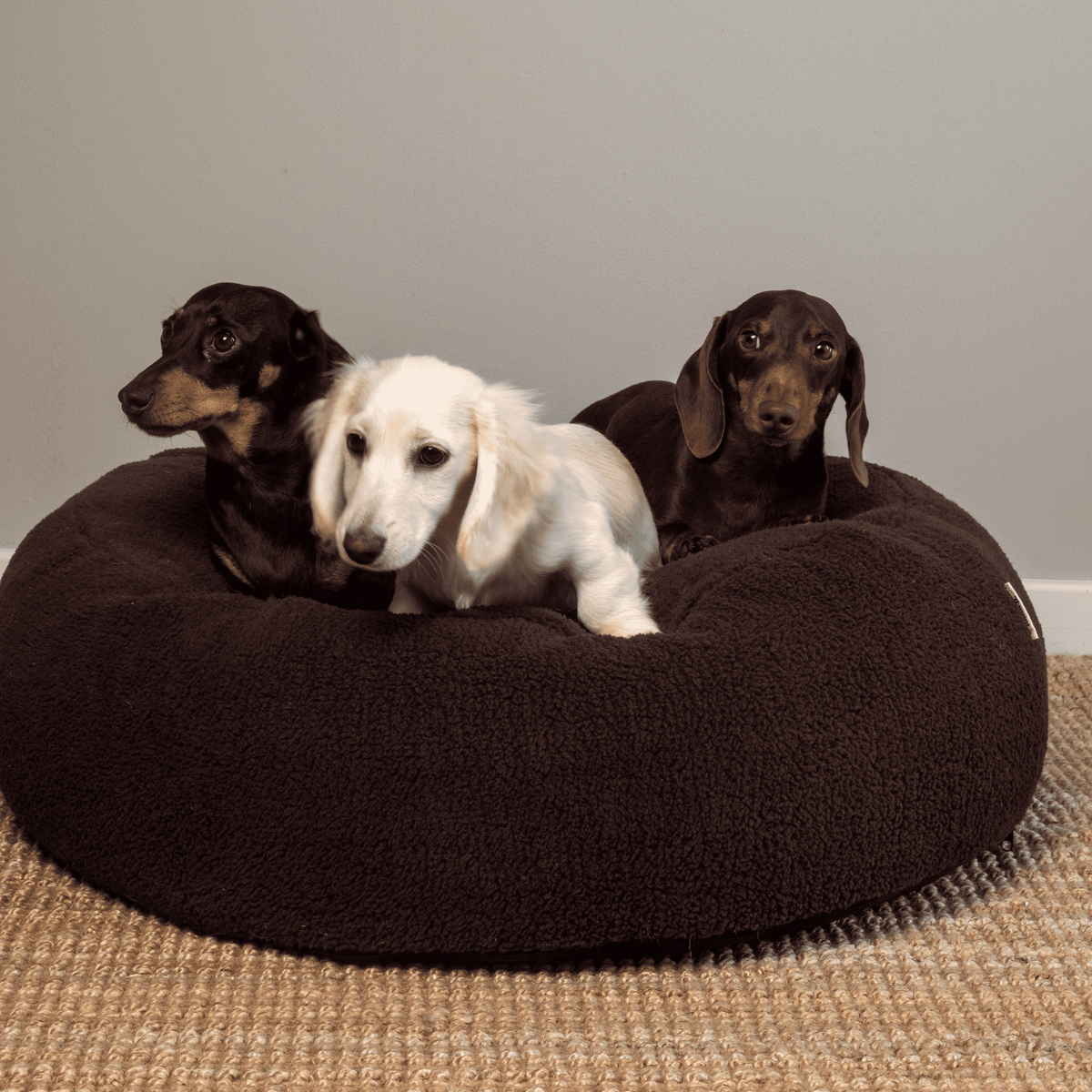 Pouf pour Chien & Chat Teddy Chocolat – Couchage Rond & Moelleux