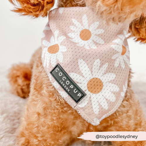 Bandana à chaîne Daisy