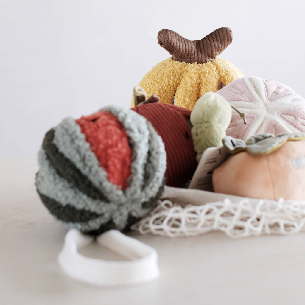 Jouet pour chien PASTÈQUE