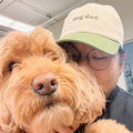Casquette Dog Dad Lucy & Co.