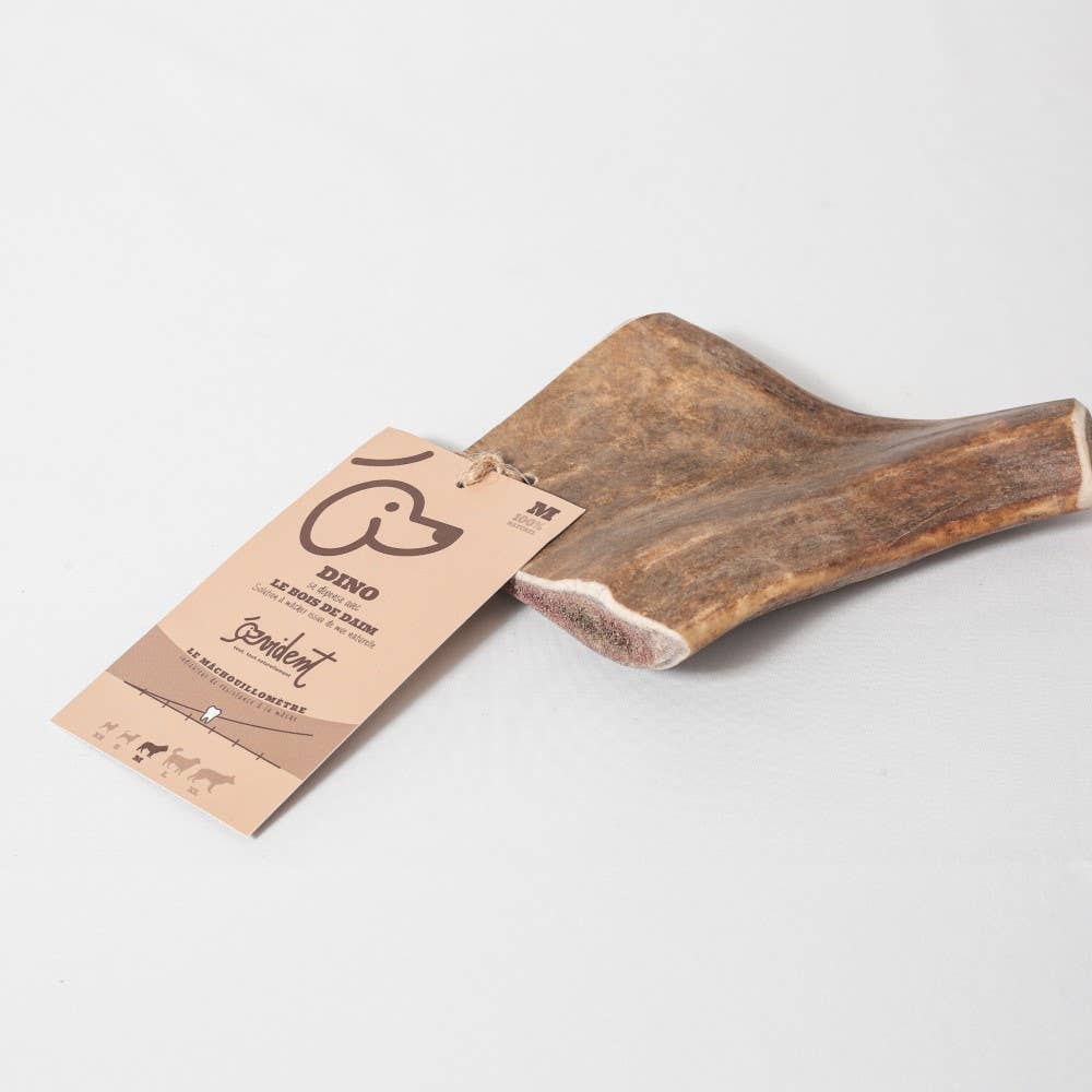 DINO - Bois de daim à mâcher pour chien