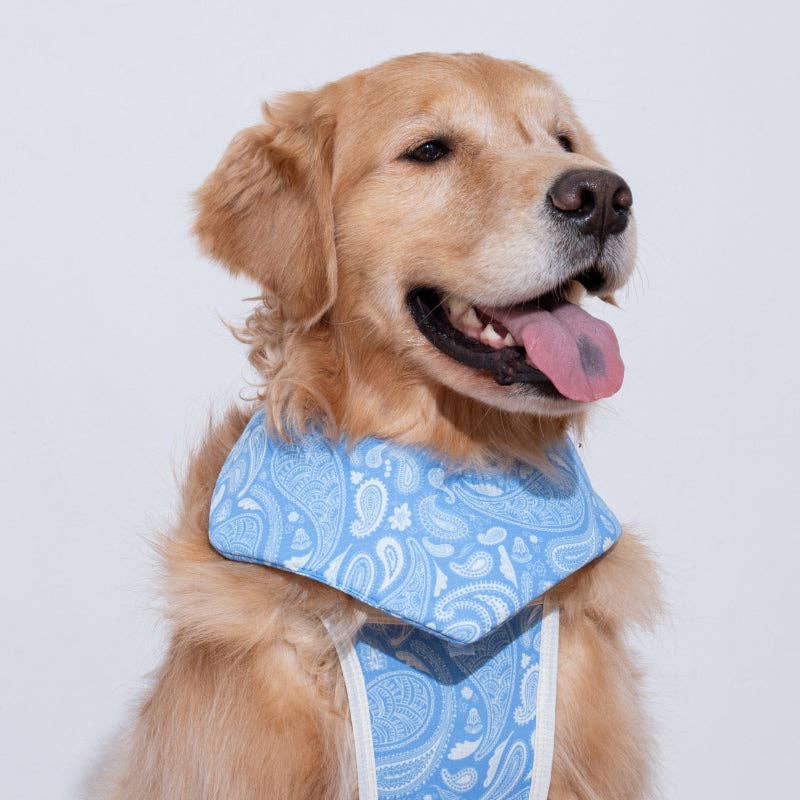 Bandana rafraîchissant Paisley Lover pour chien - Puppy Gallery
