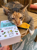 Coffret découverte herbes aux chats