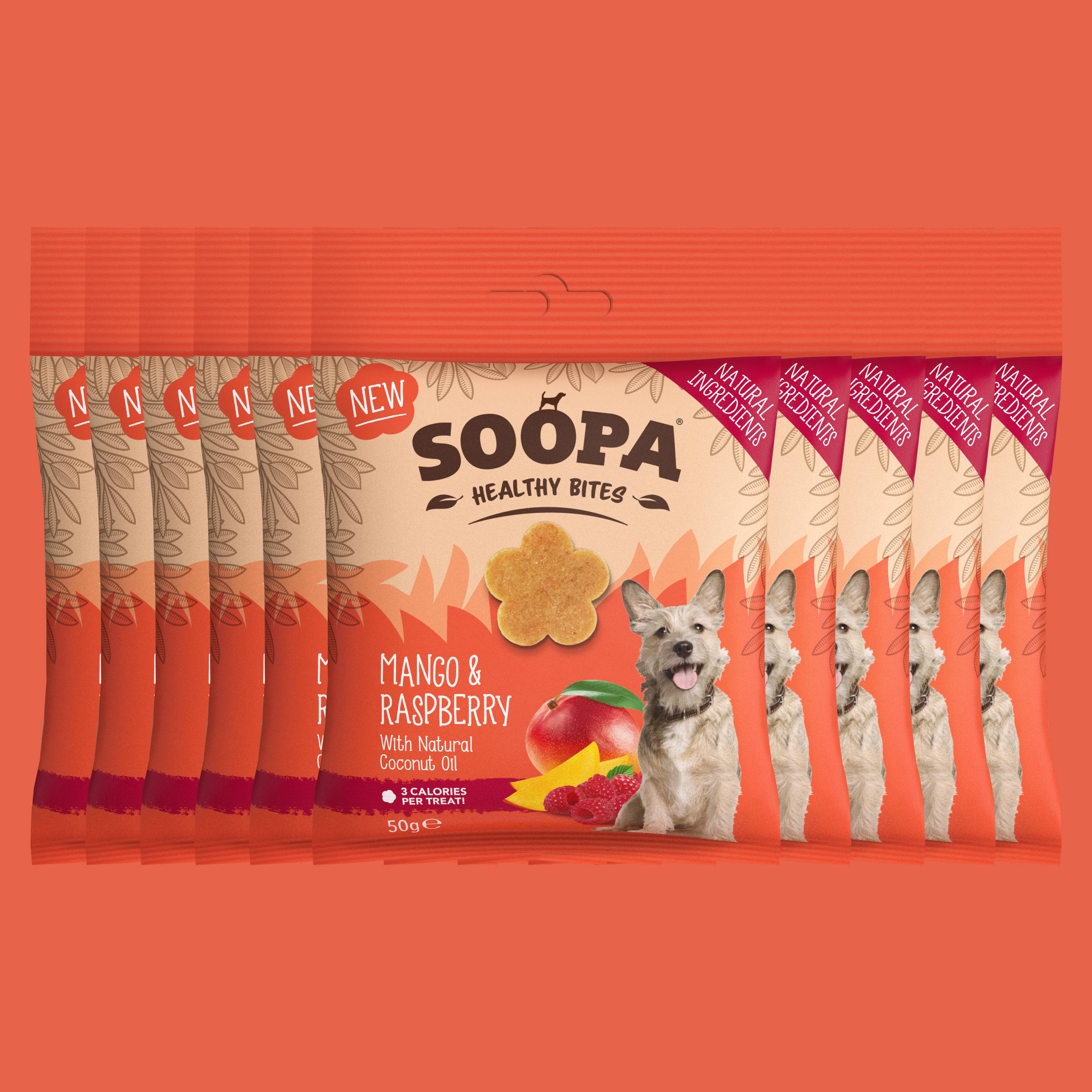 Friandises pour chiens à la mangue et à la framboise