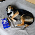 VEGDOG Biscuits du soir 400 g – Friandises végétales apaisantes pour chien