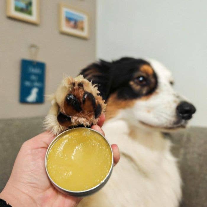 Baume truffe et coussinets 50 ml