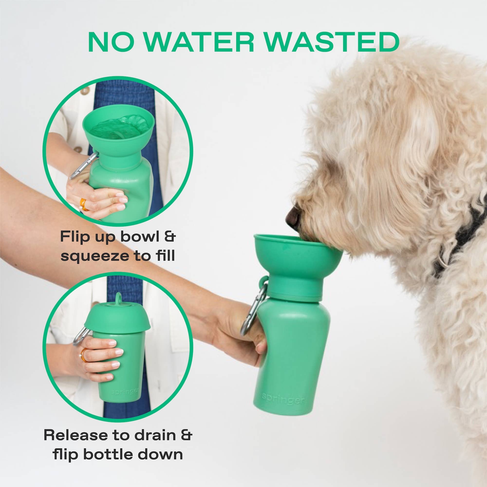 Gourde Portable Springland Pets — 591 ml