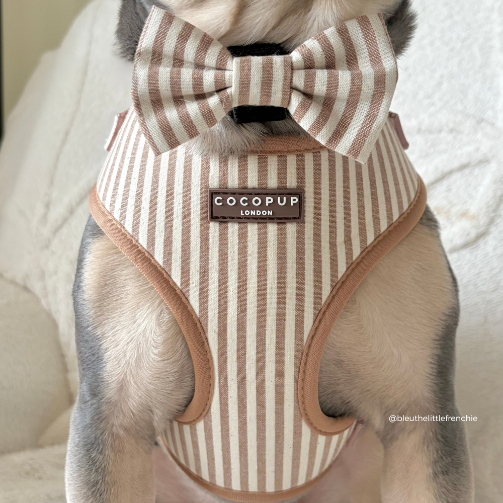 Nœud papillon London Linen Taupe – Cocopup London