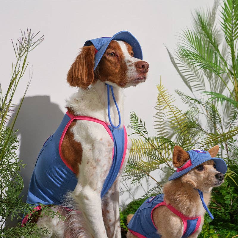 Débardeur Rafraîchissant Outside+ – Puppy Gallery | Coloris Bleu