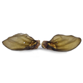 Oreilles de Bœuf — lot de 5 ou 10 pièces