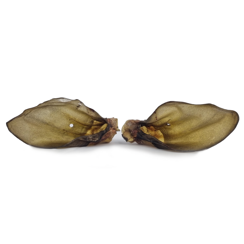 Oreilles de Bœuf — lot de 5 ou 10 pièces