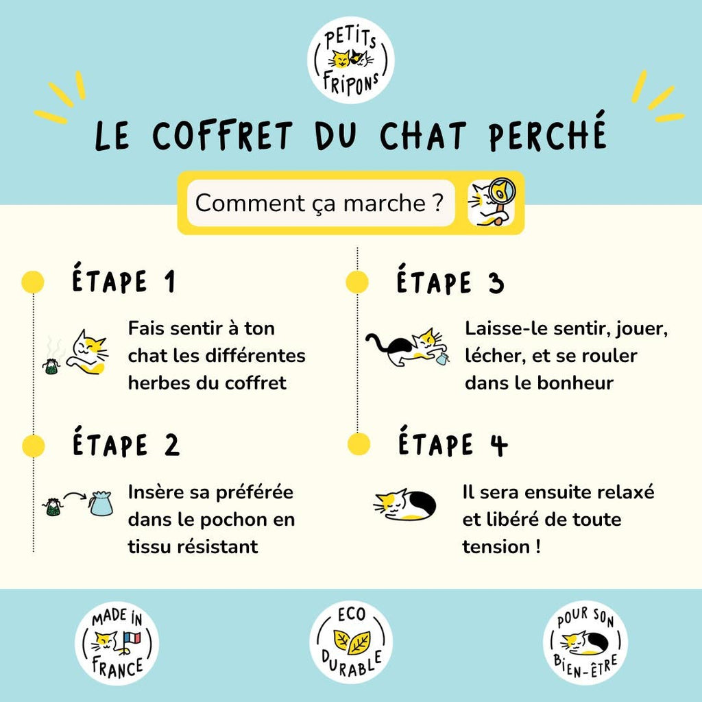 Coffret découverte herbes aux chats