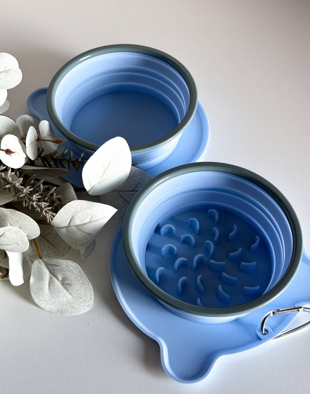 Gamelle de voyage pliable, pour chiens et chats