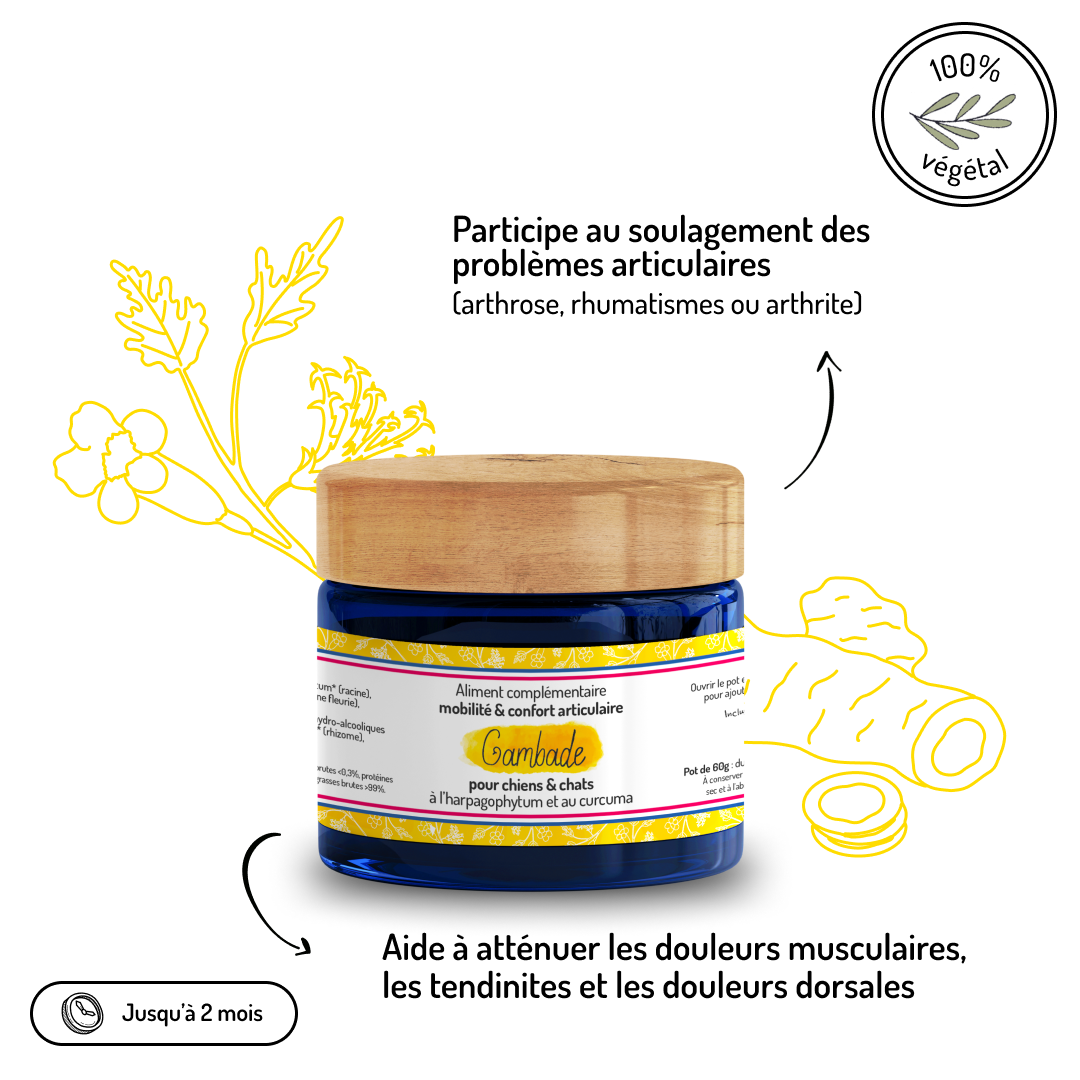 Confort articulaire – Cure courte – Complément alimentaire