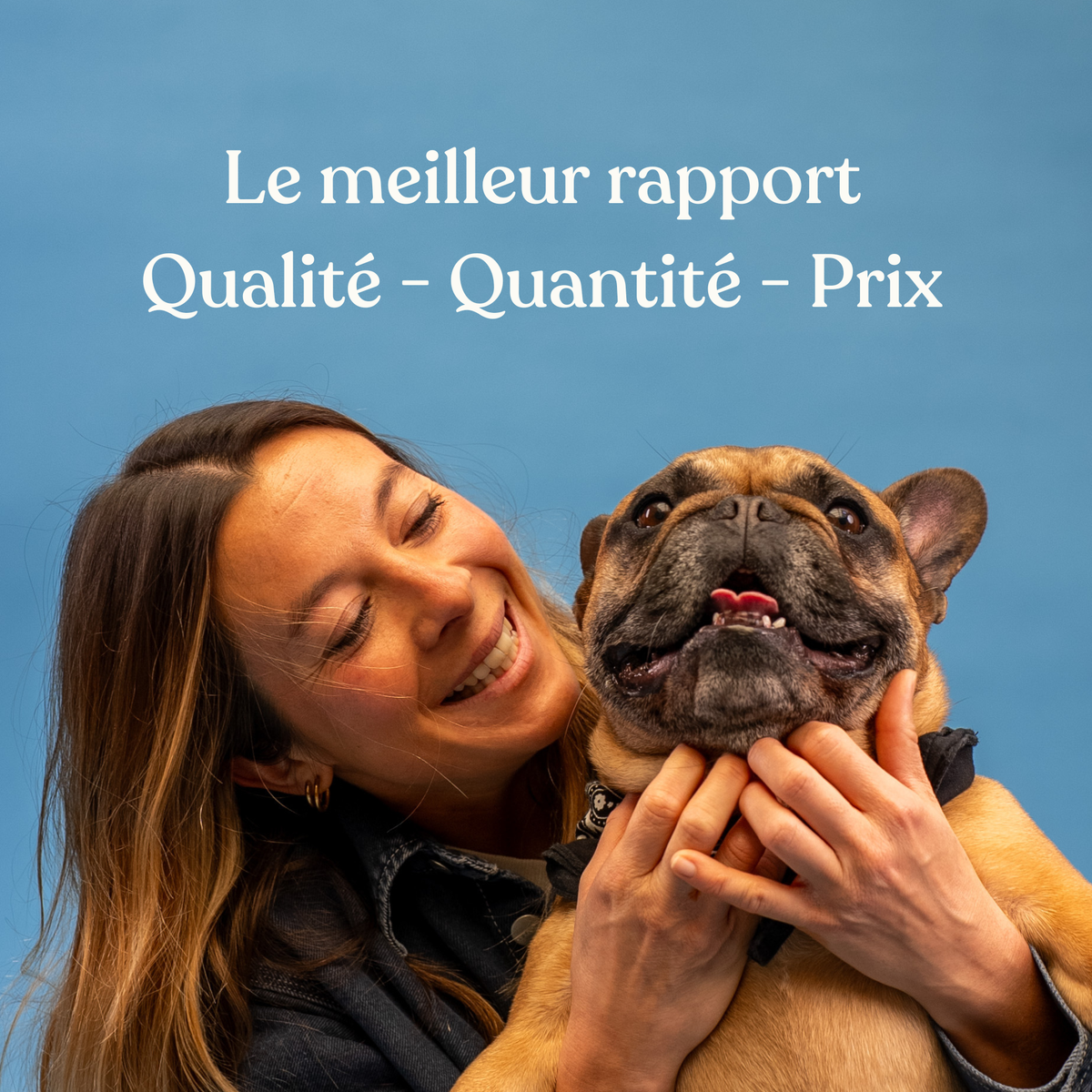 Bouchées articulaires pour chien - 60 bouchées - WELOCA