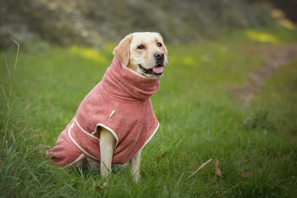 Peignoir de bain pour chiens Dog Wellness – Blossom