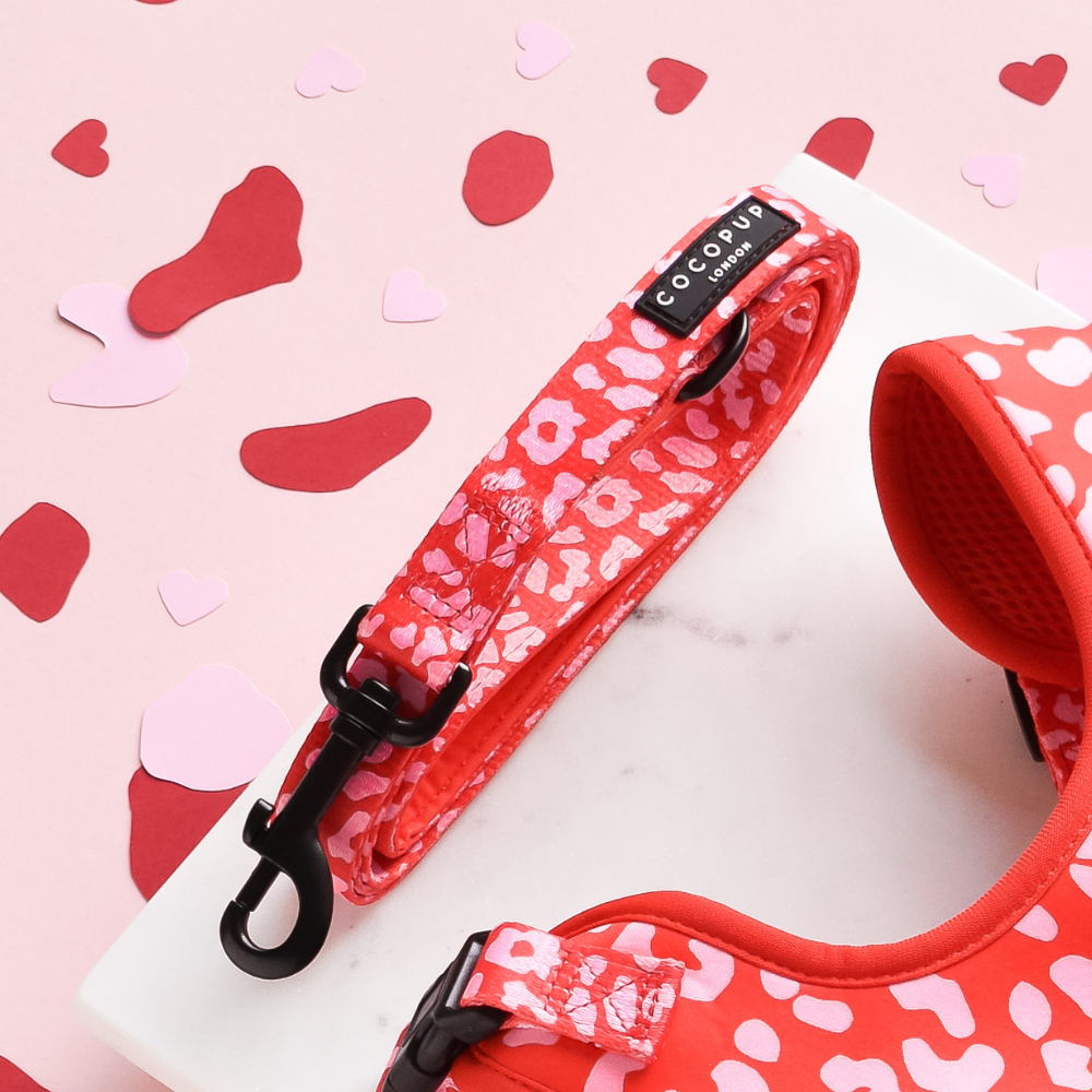 Laisse Red & Pink Leopard – Cocopup London