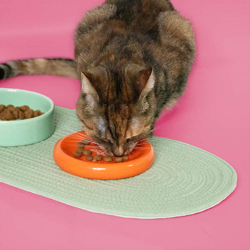 Bol FUNKY FEEDING