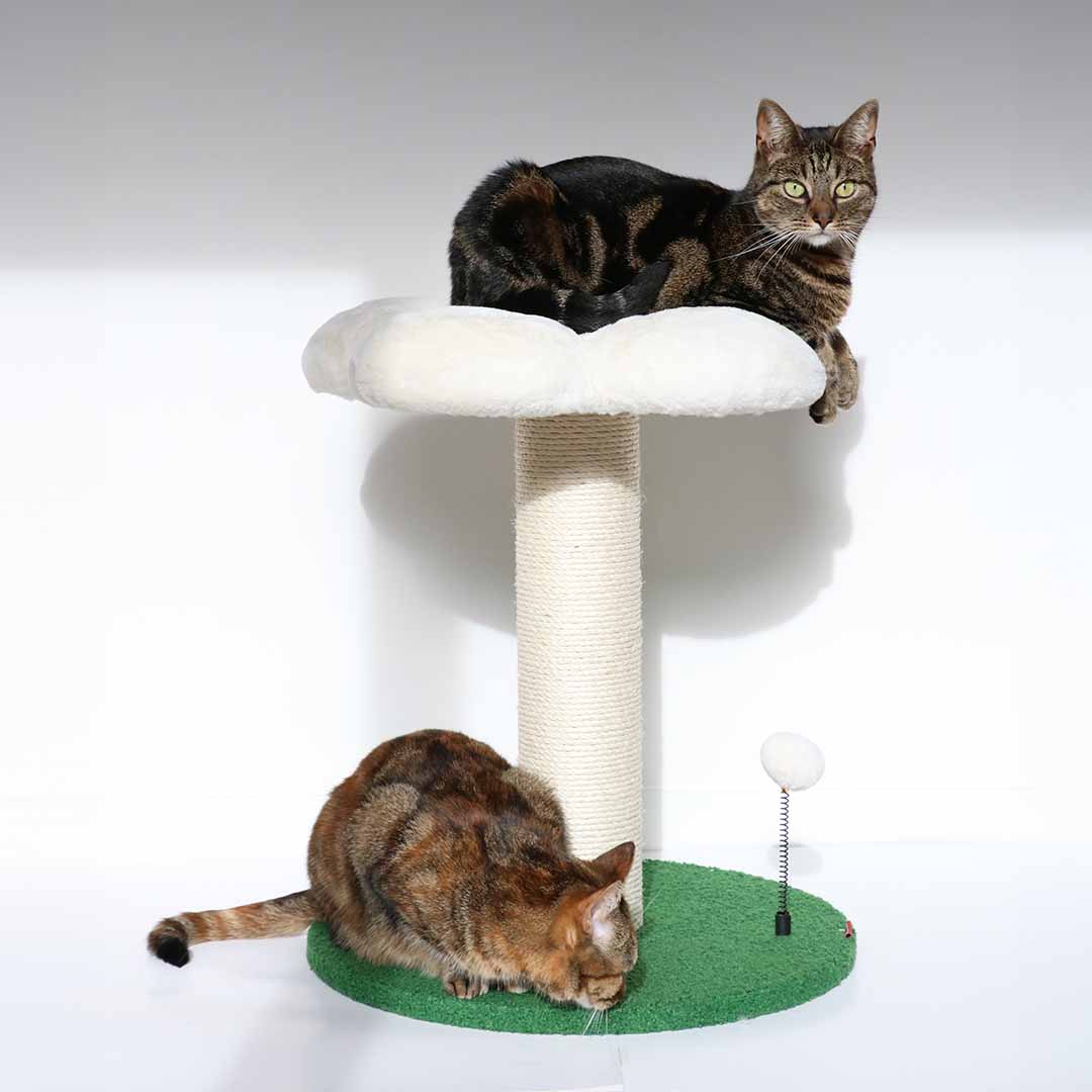 Arbre à chat/Griffoir FLOWER POWER