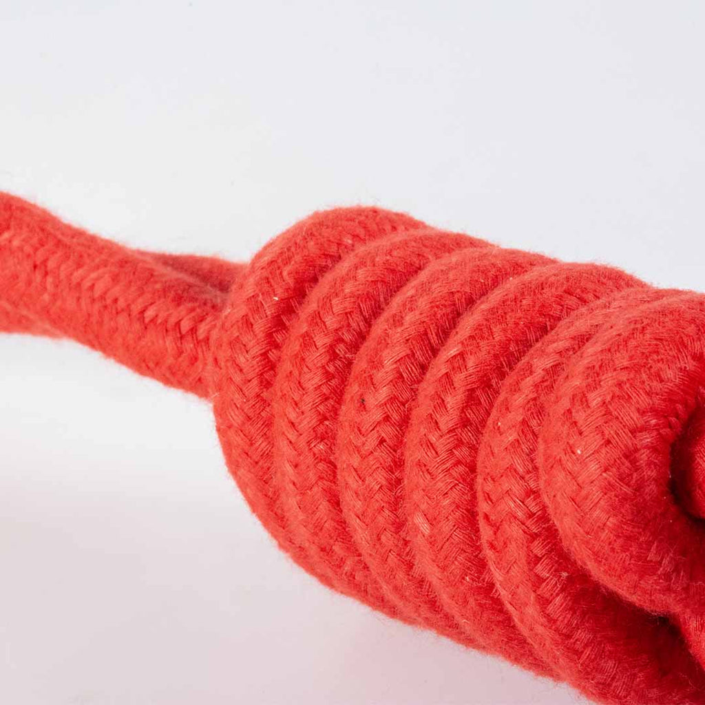 Balle avec boucle de corde SWING ME