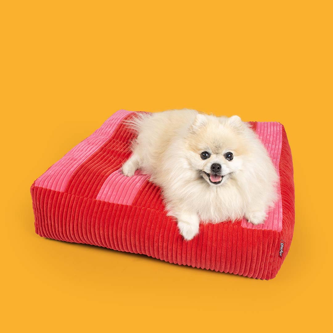 Matelas spring vibes