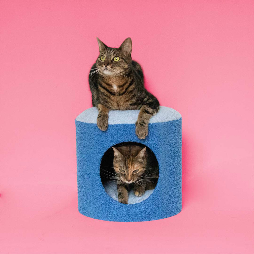 Maison pour chats