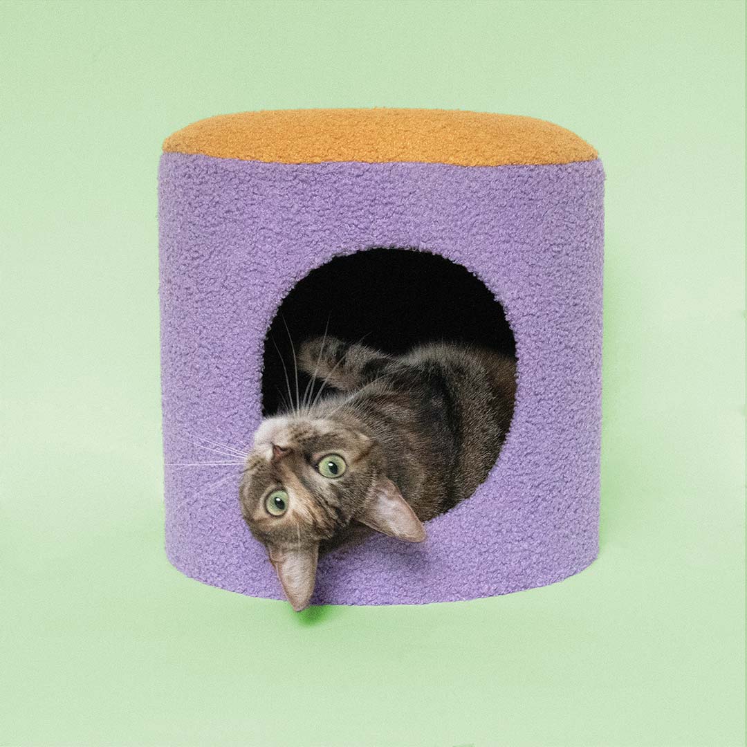 Maison pour chats