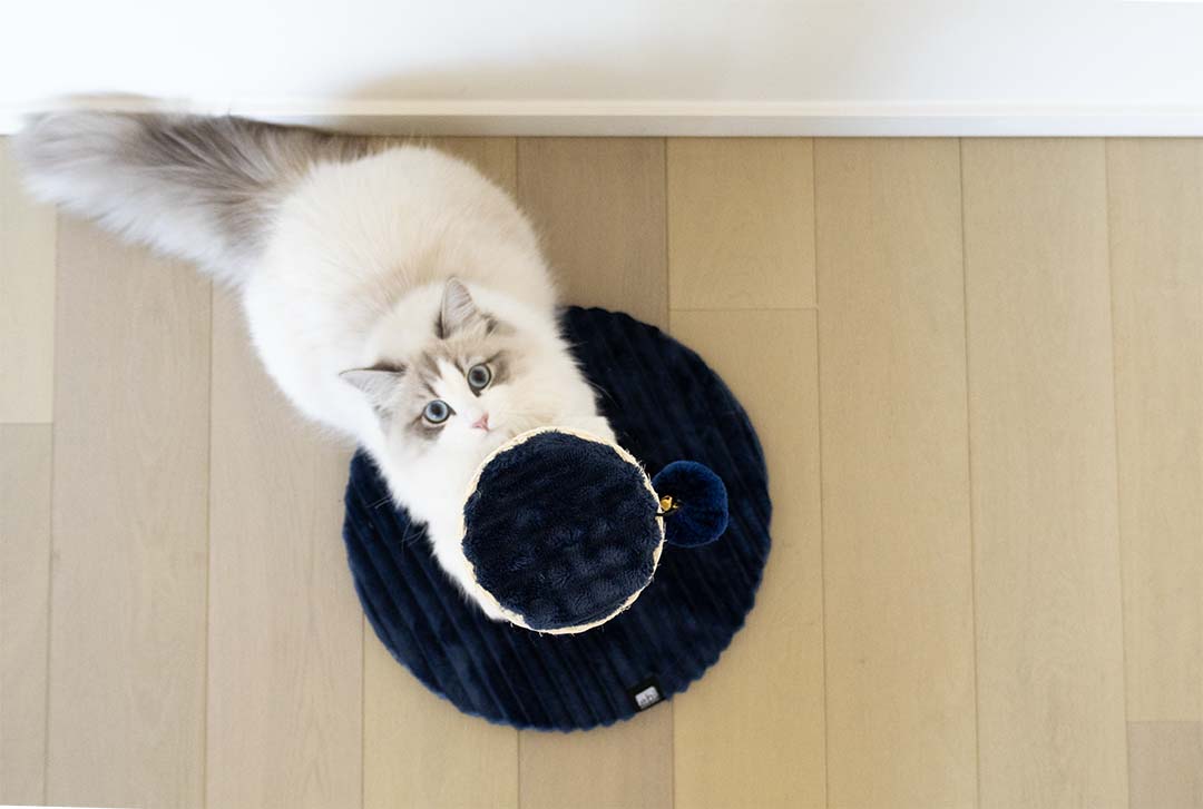 Griffoir Marbella Bleu foncé