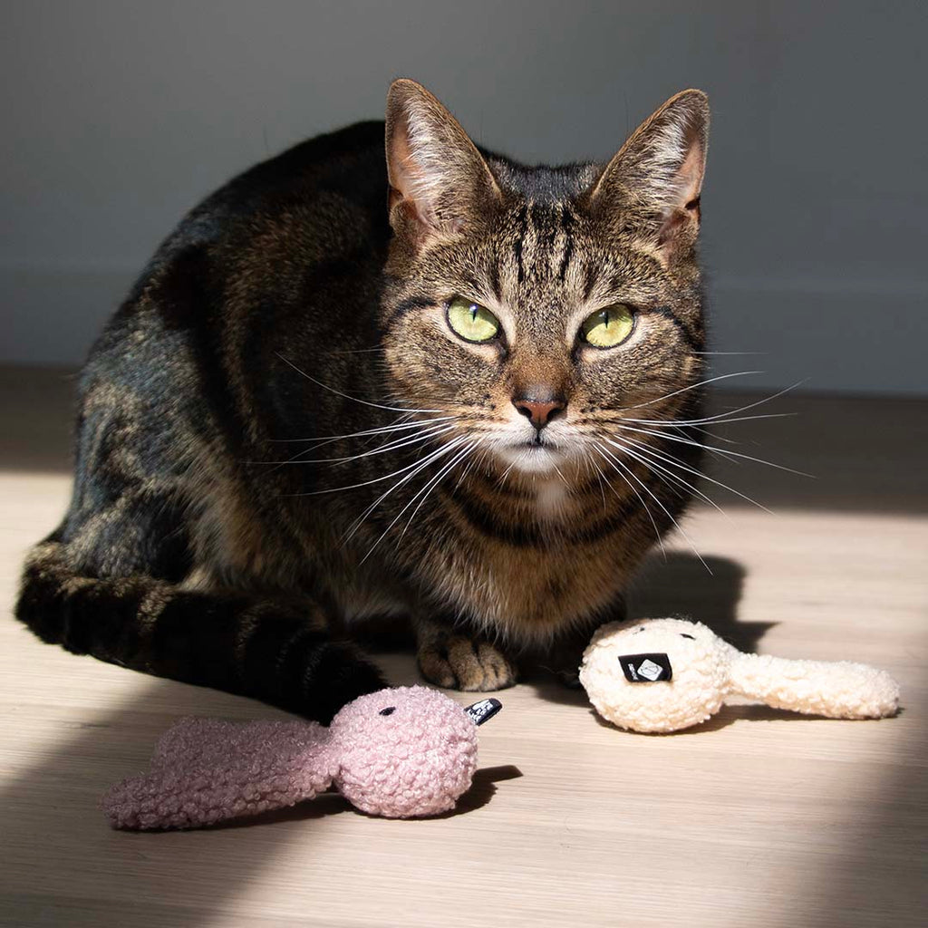 Jouet pour chat CLOVER