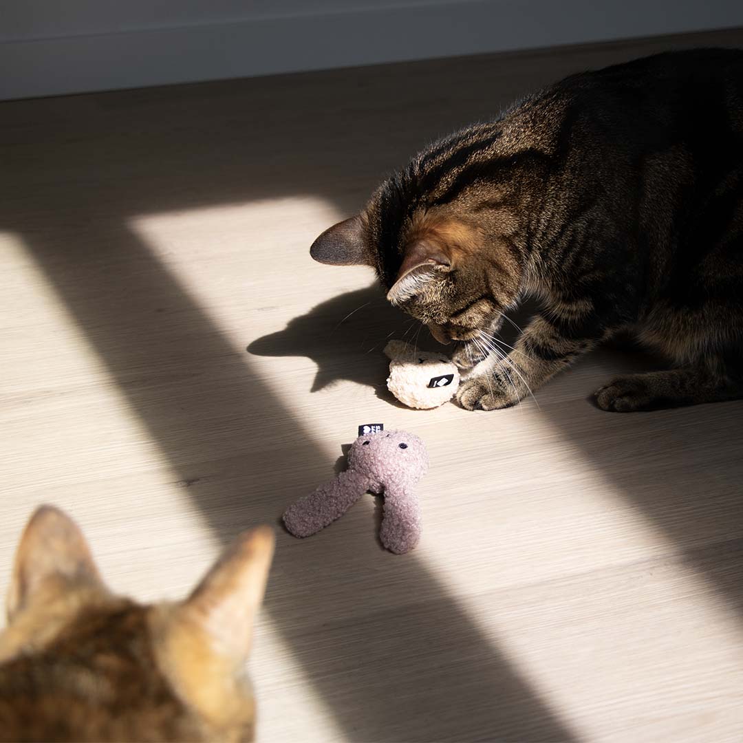 Jouet pour chat CLOVER