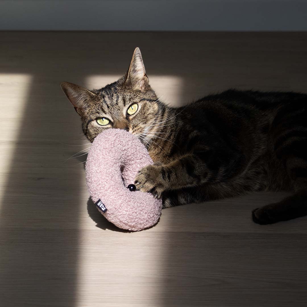 Donut rose à l'herbe à chat