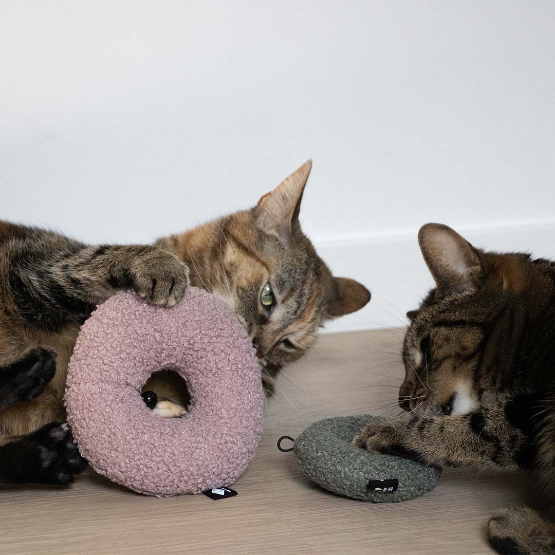 Donut vert à l'herbe à chat