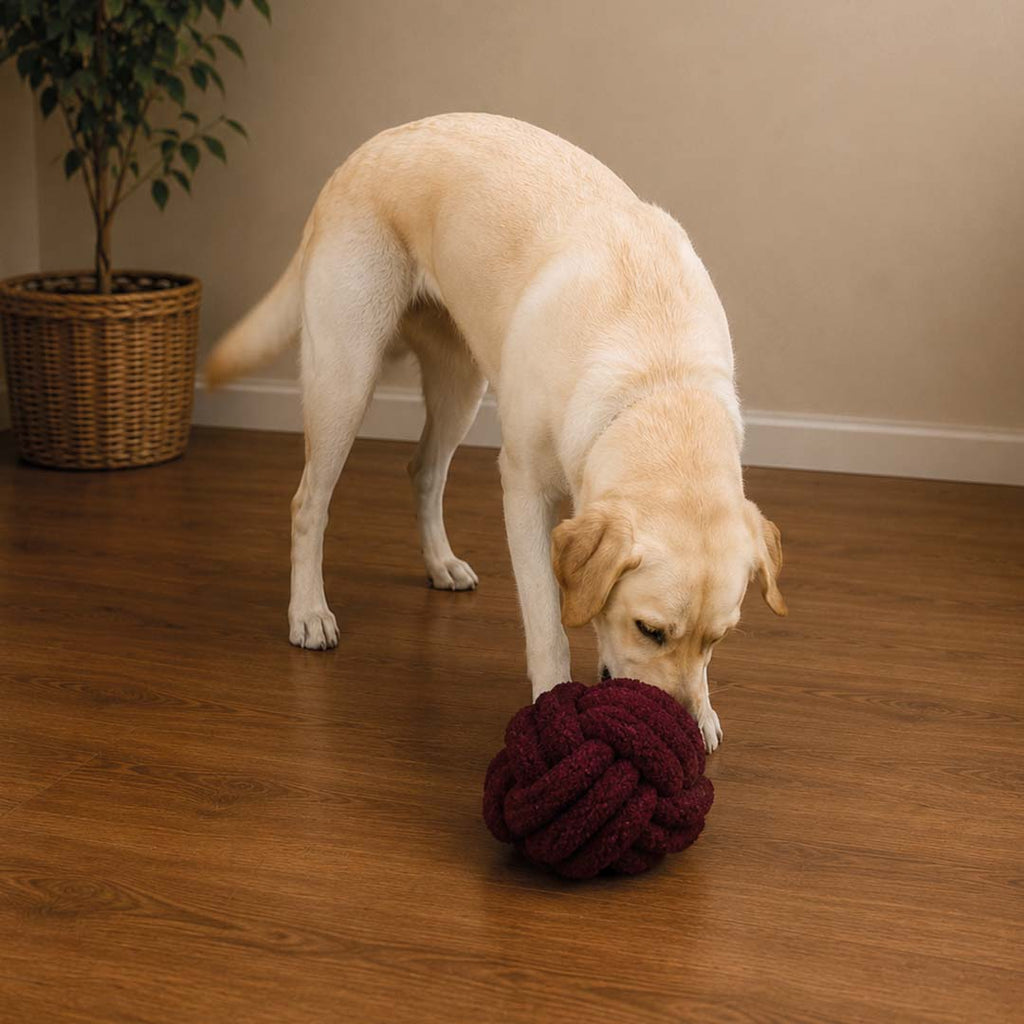 Jouet de fouille en corde Teddy Ball PUCK – Bordeaux